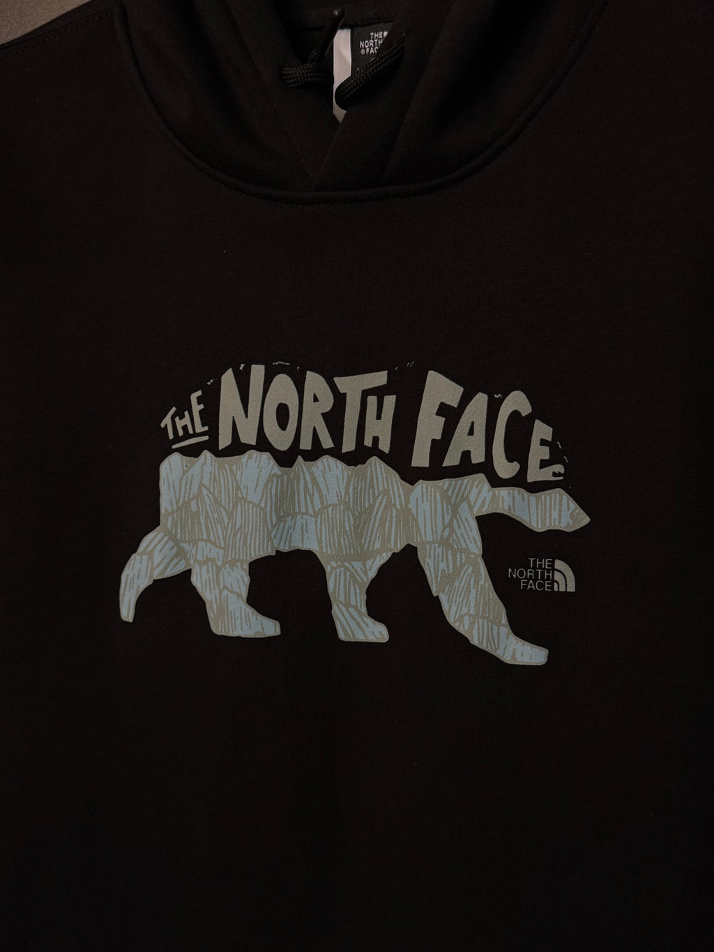 Sudadera The North Face