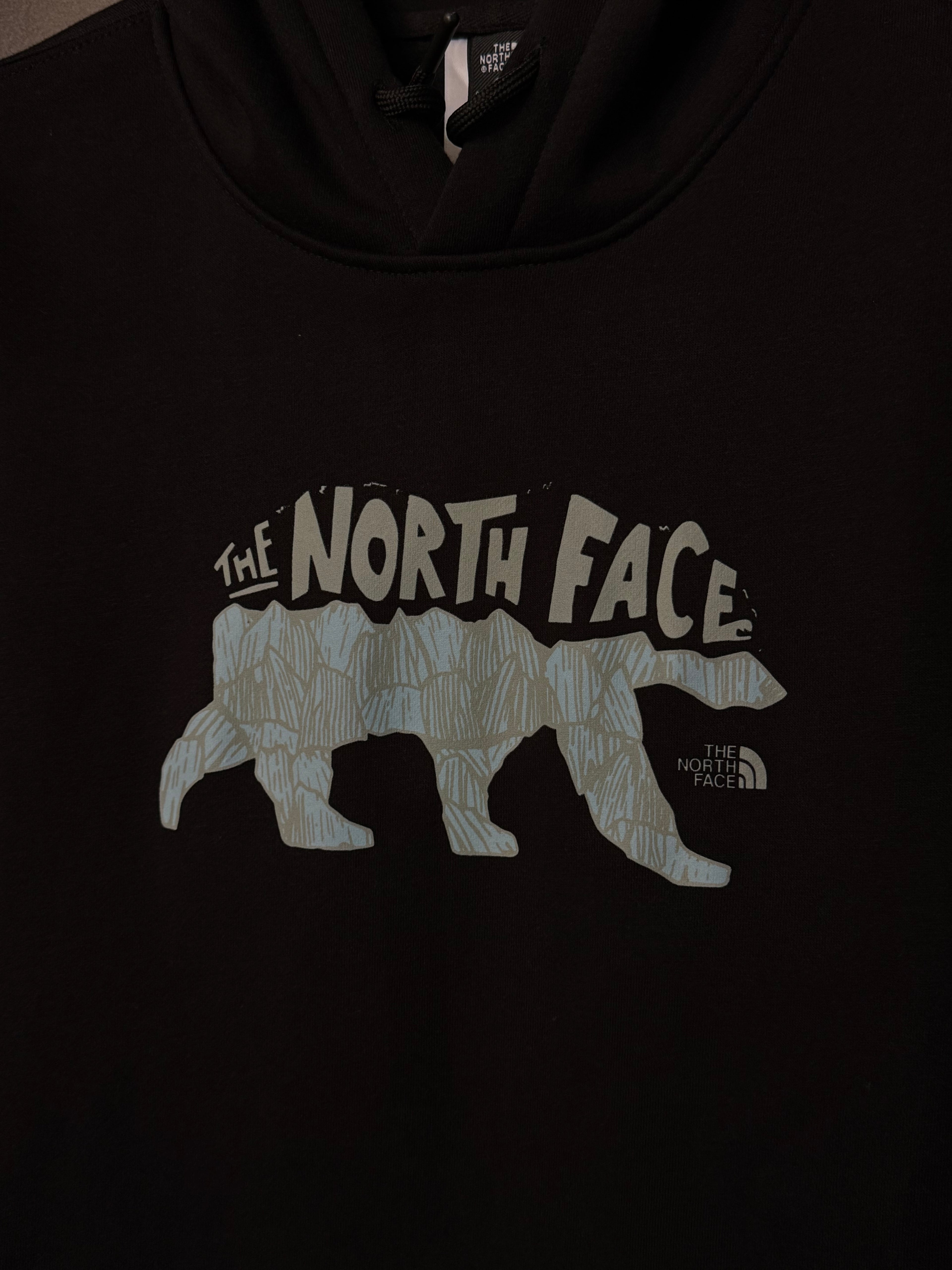 Sudadera The North Face